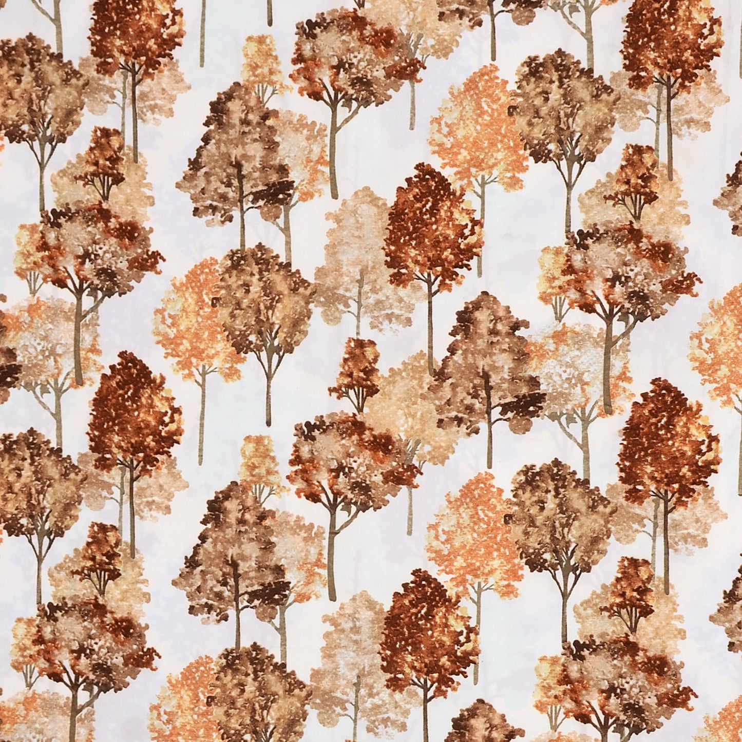 Oster Coffee Curtains – Warm Autumn Ambience